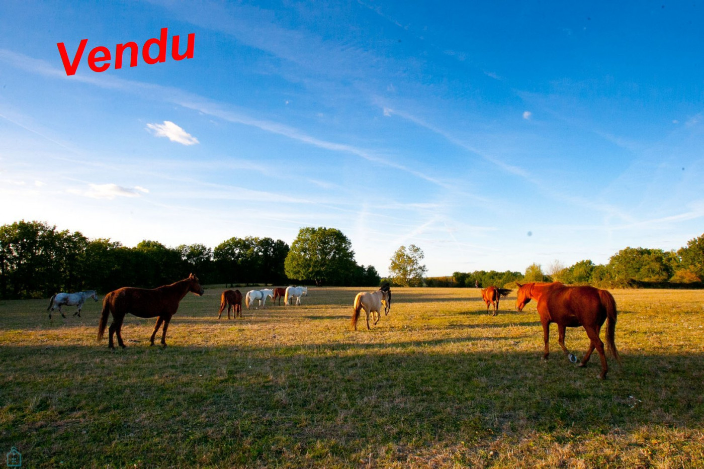 vente Haras / equestre Vergt De Biron - Photo 1