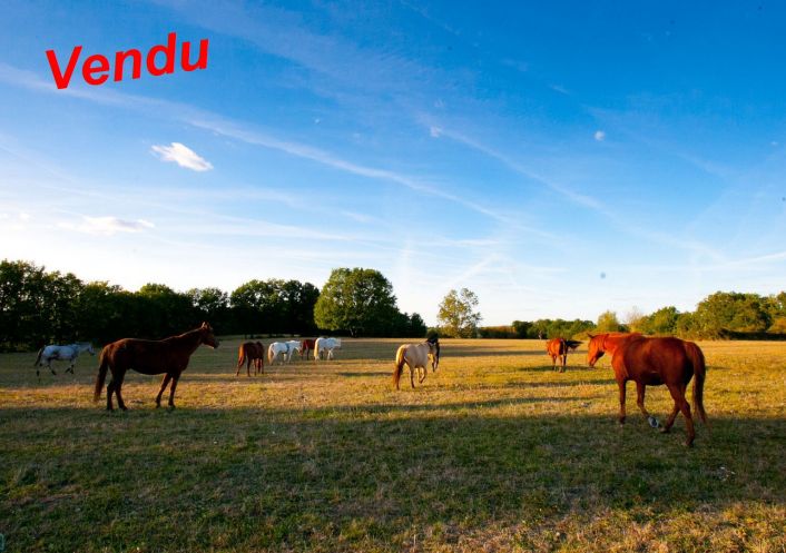 vente Haras / equestre Vergt De Biron
