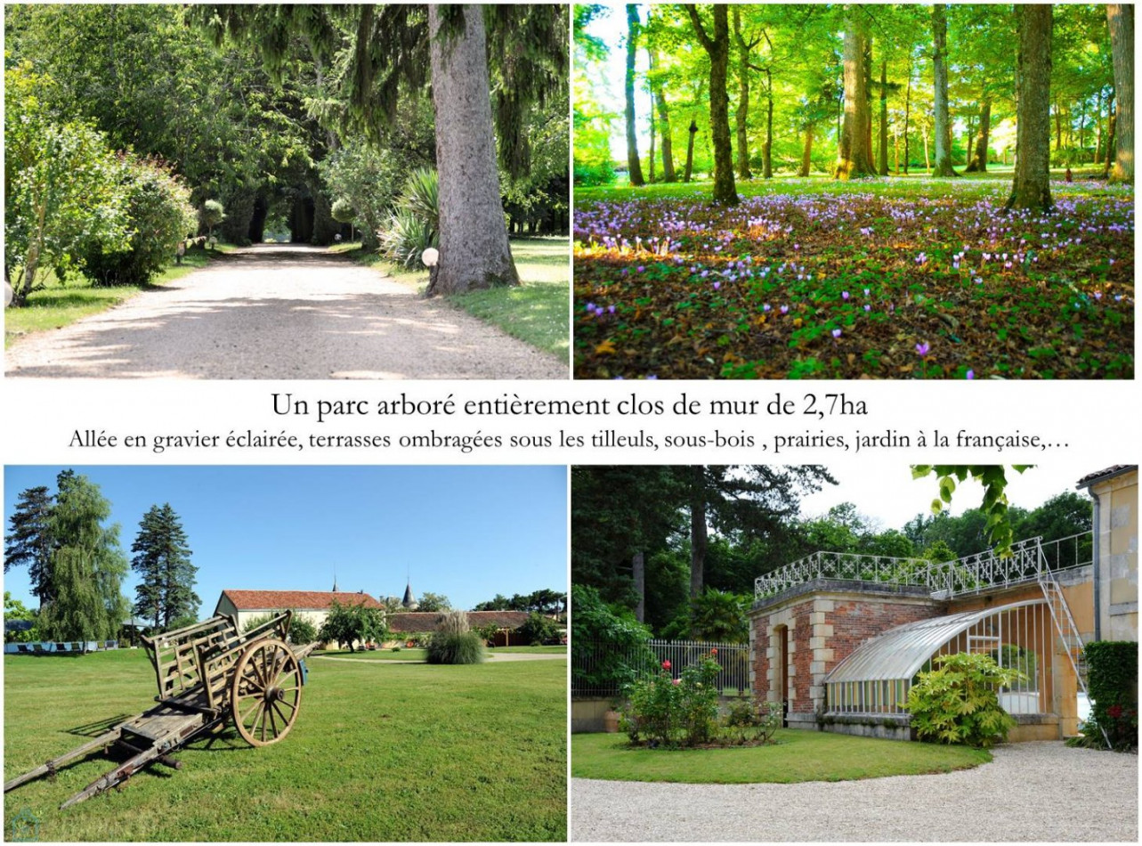 vente Domaine Cognac - Photo 4