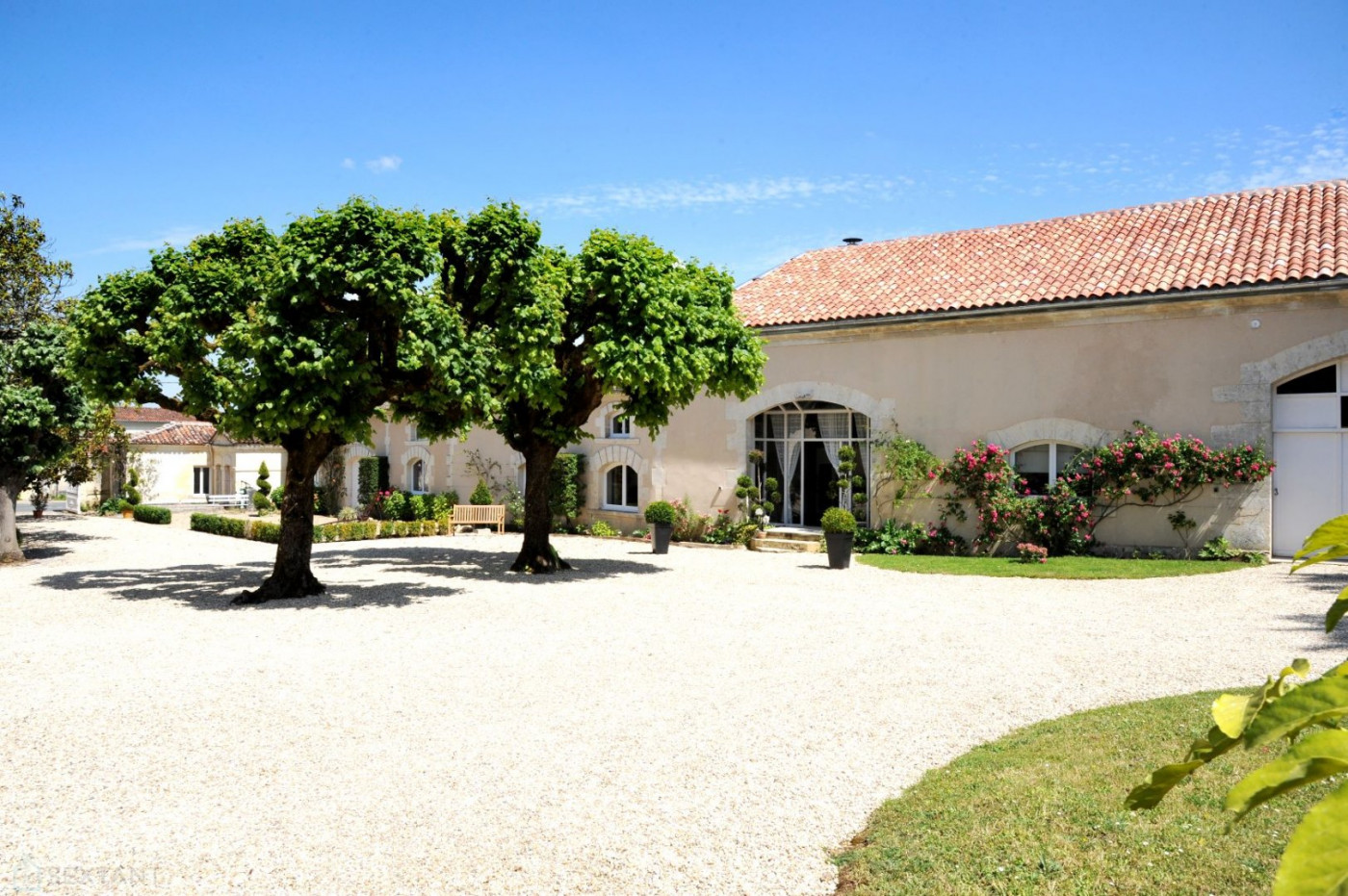 vente Domaine Cognac - Photo 3