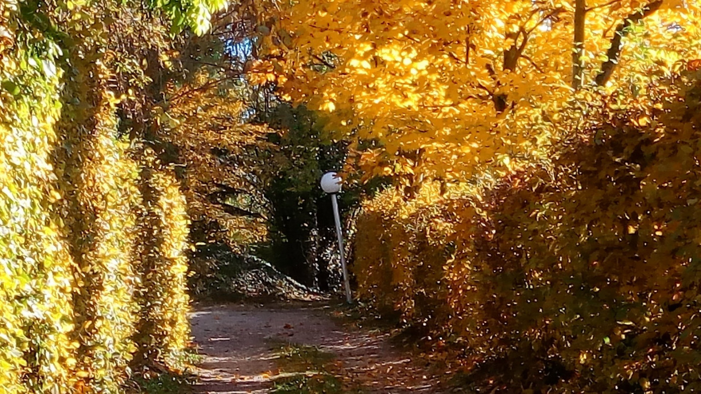vente Maison Neyron - Photo 1