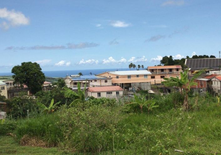 vente Terrain constructible Morne Des Esses