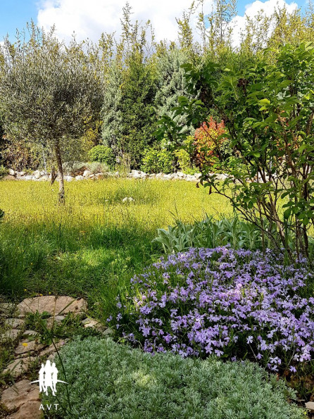 vente Maison Regusse - Photo 3