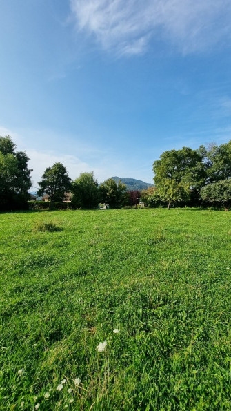 vente Terrain Marcellaz - Photo 1