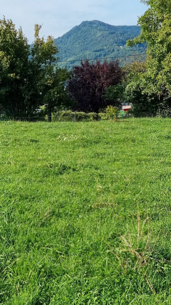 vente Terrain Marcellaz - Photo 3
