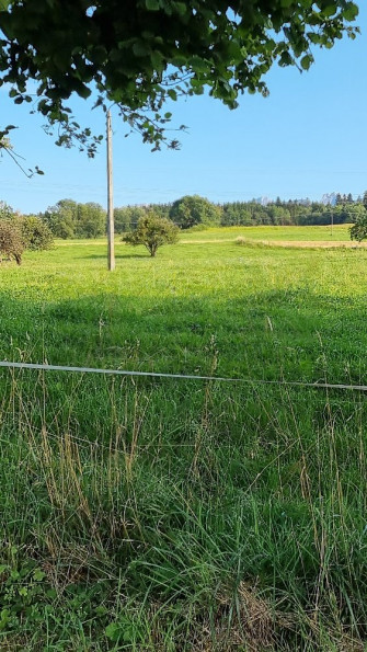 vente Terrain Marcellaz - Photo 5