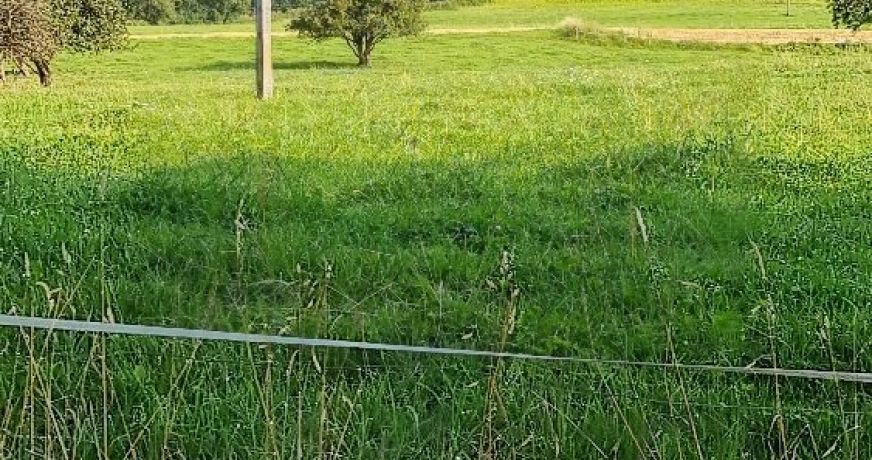 vente Terrain Marcellaz