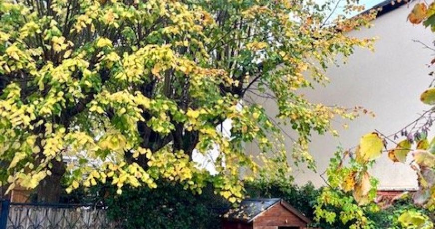 vente Appartement Poissy