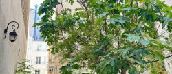 vente Appartement Paris 7eme Arrondissement