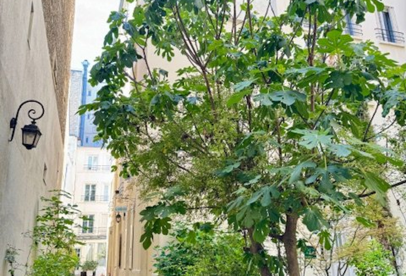 vente Appartement Paris 7eme Arrondissement - Photo 1