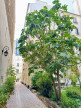 vente Appartement Paris 7eme Arrondissement