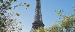 vente Appartement Paris 7eme Arrondissement