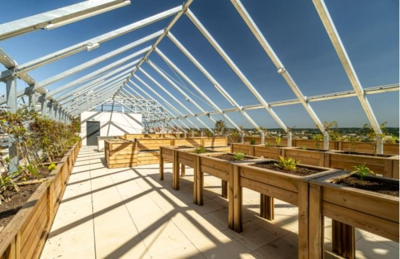 vente Résidence seniors Limoges - Photo 7