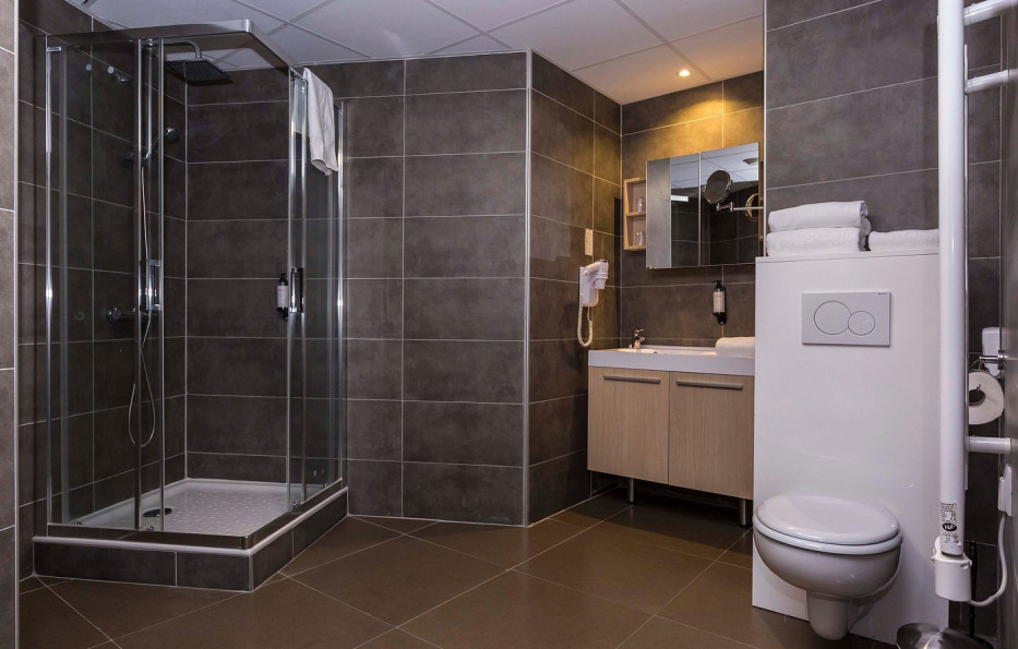 vente Résidence affaires Ferney Voltaire - Photo 6