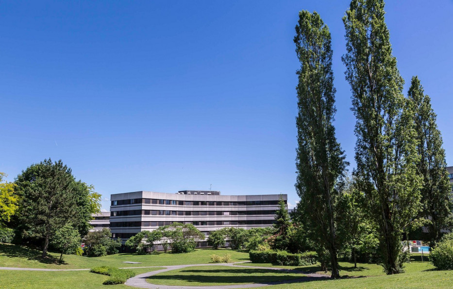 vente Résidence affaires Ferney Voltaire - Photo 10