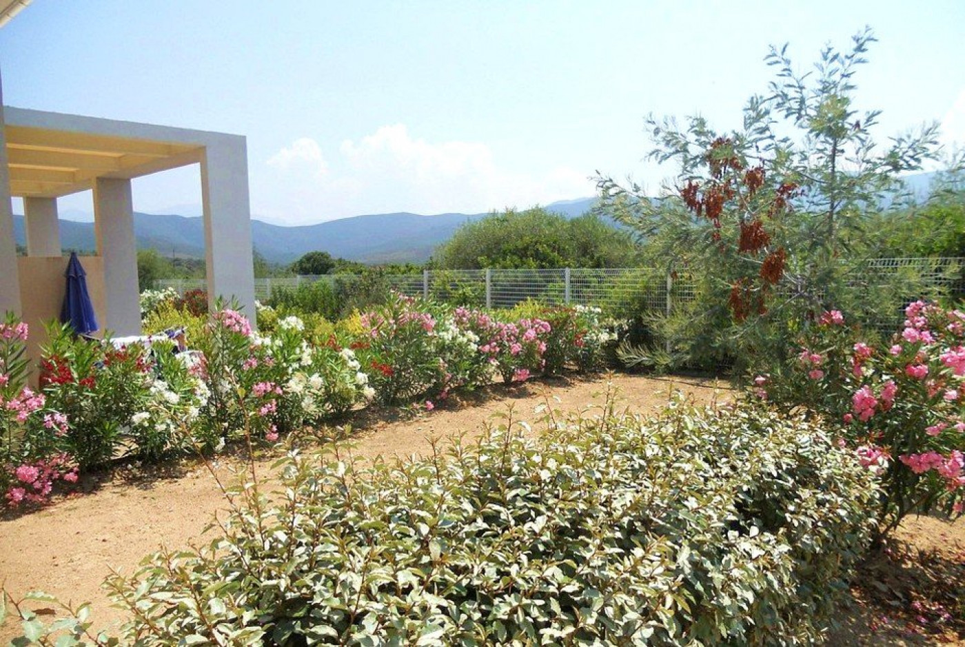 vente Résidence tourisme Belgodere - Photo 10