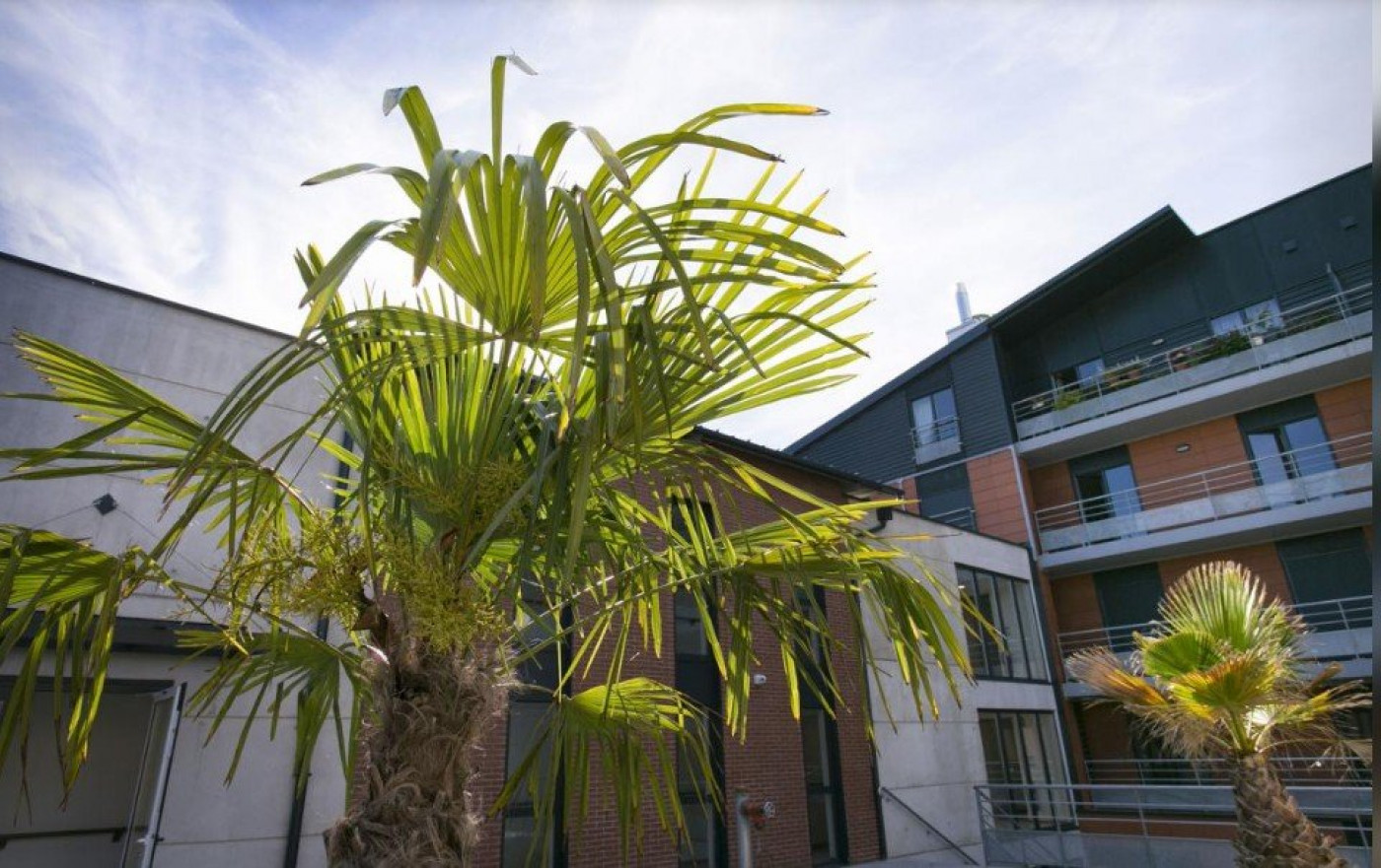 vente Résidence seniors Troyes - Photo 16