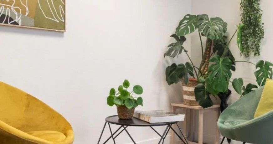 vente Résidence ehpad Colombes
