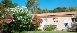 vente Résidence tourisme Sari-solenzara