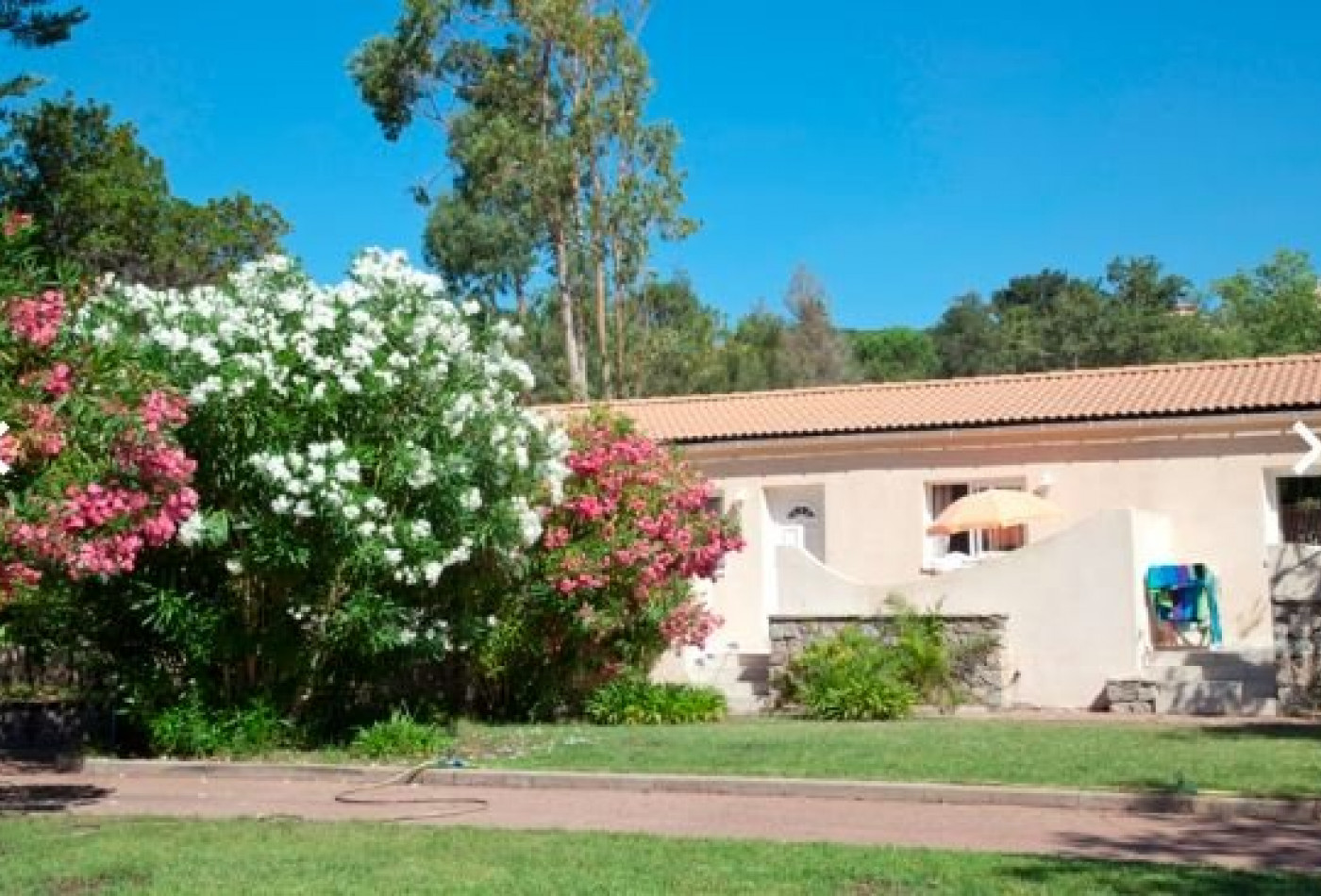 vente Résidence tourisme Sari-solenzara - Photo 9