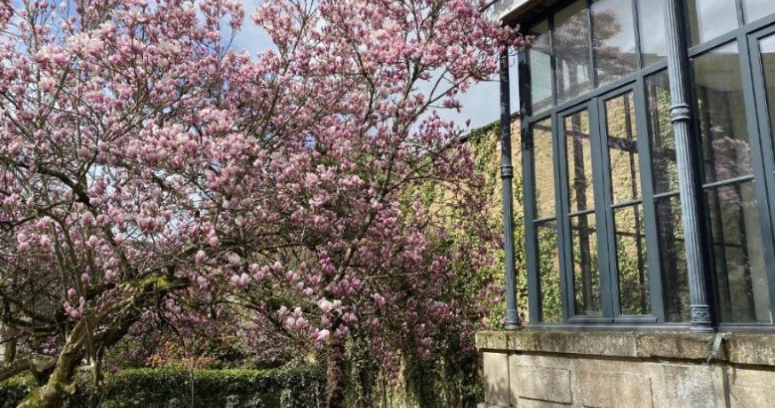 vente Résidence tourisme Limoges