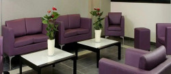 vente Orleans