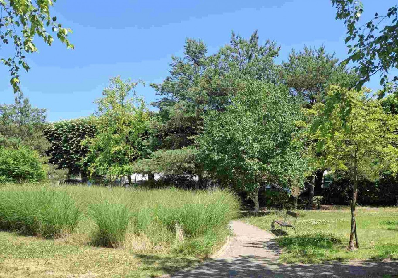 vente Résidence ehpad Rueil Malmaison - Photo 8