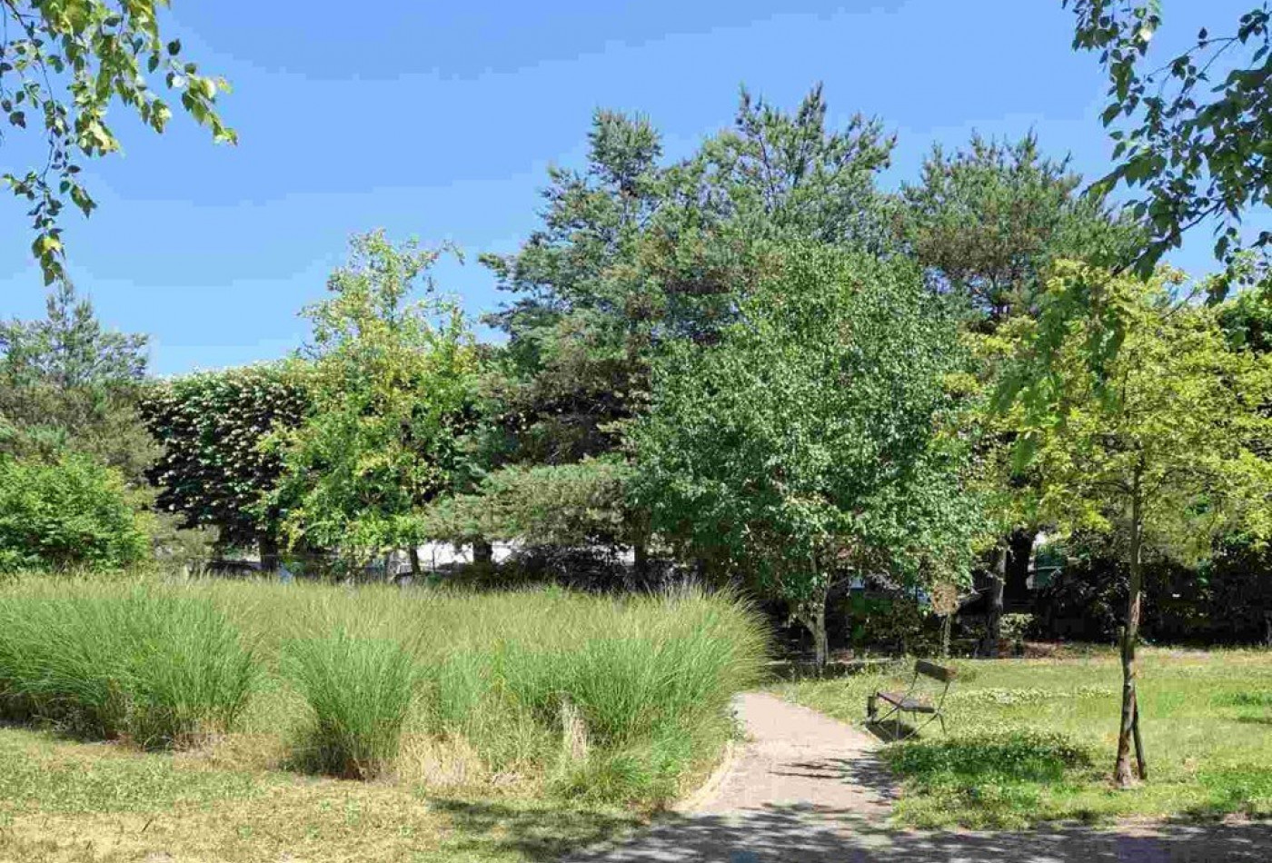 vente Résidence ehpad Rueil Malmaison - Photo 8