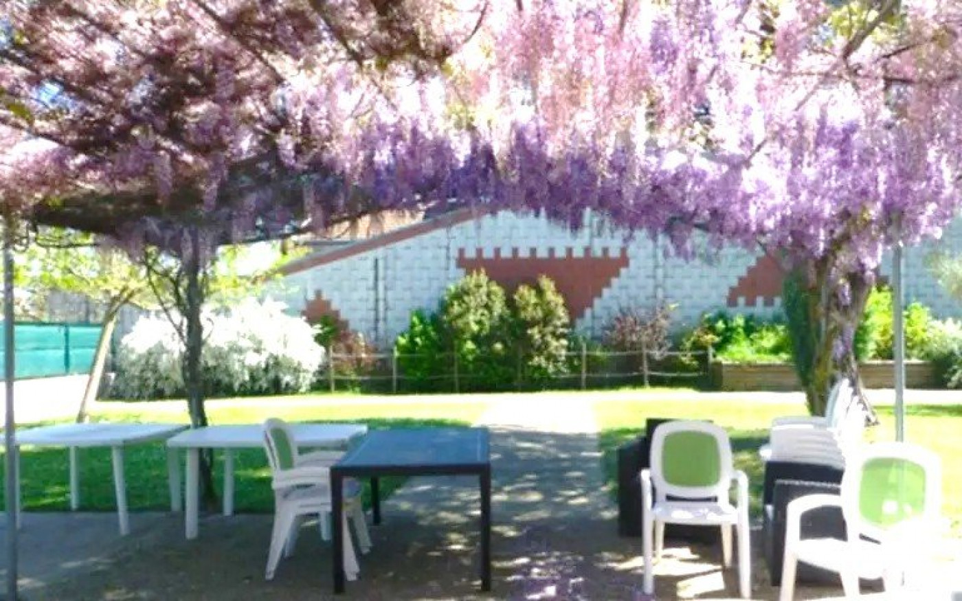 vente Résidence ehpad Mazamet - Photo 3