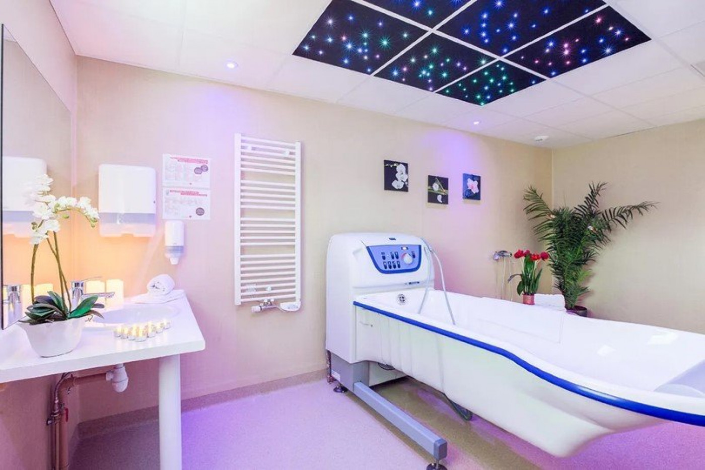 vente Résidence ehpad Lathus Saint Remy - Photo 4