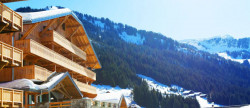 vente Résidence tourisme Chatel