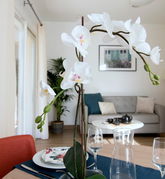 vente Résidence seniors Le Revest Les Eaux - Photo 3