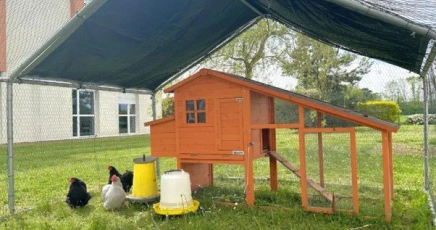 vente Résidence ehpad Leudeville