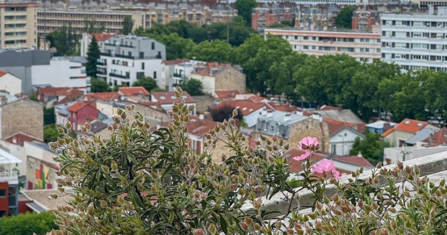 vente Appartement Montrouge