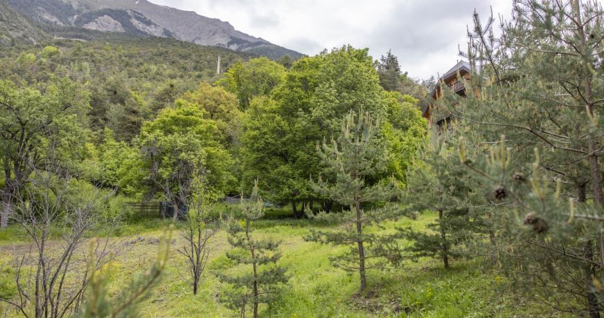 vente Maison Saint Andre D'embrun