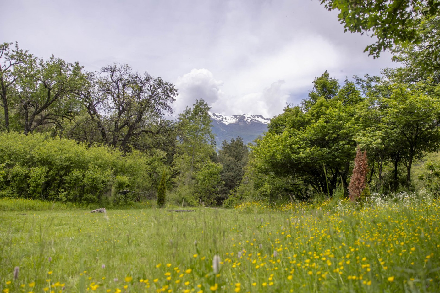 vente Maison Saint Andre D'embrun - Photo 7