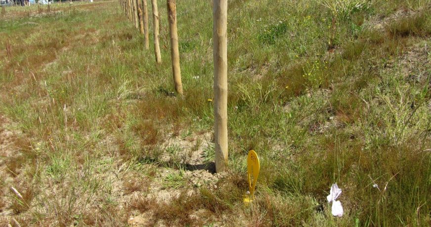 vente Terrain Saint Arnoult