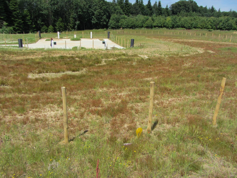 vente Terrain Saint Arnoult - Photo 6