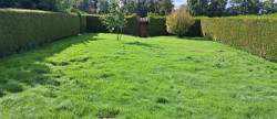 vente Maison Luneray