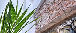 vente Maison Le Chesnay