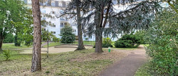 vente Appartement Versailles
