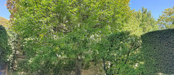 vente Appartement Versailles