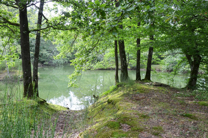 à vendre Maison Saint Forget - Photo 13