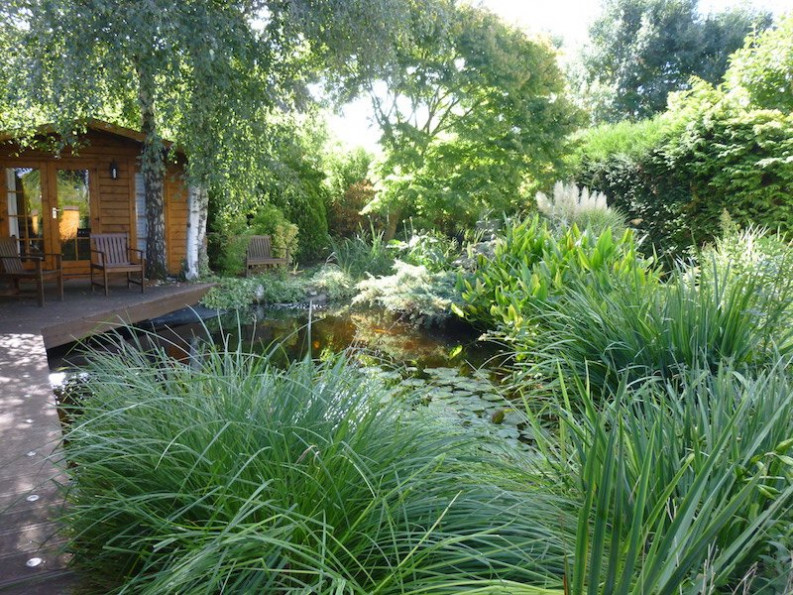 vente Maison individuelle Magny Les Hameaux - Photo 4