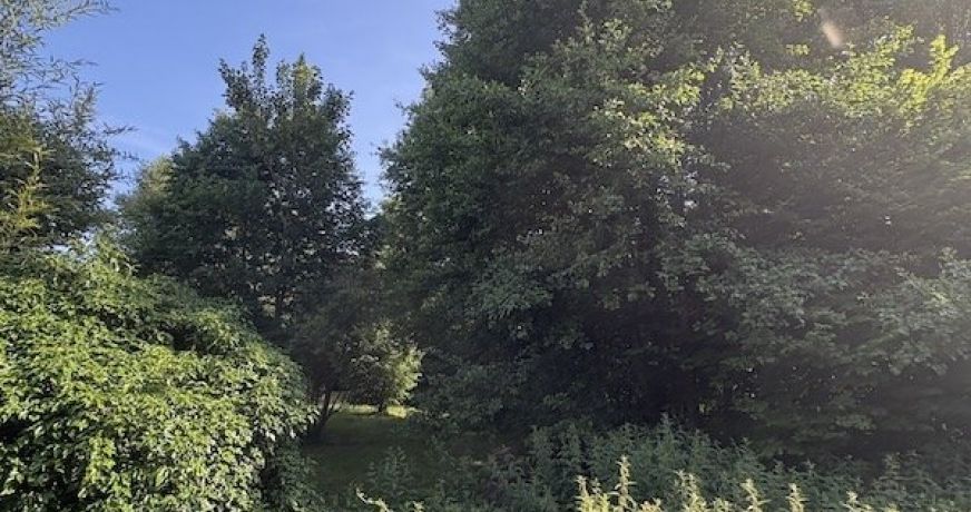 vente Maison Chateaufort