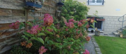 vente Maison Chateaufort
