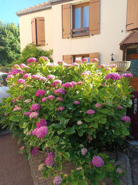 à vendre Maison Chateaufort - Photo 20