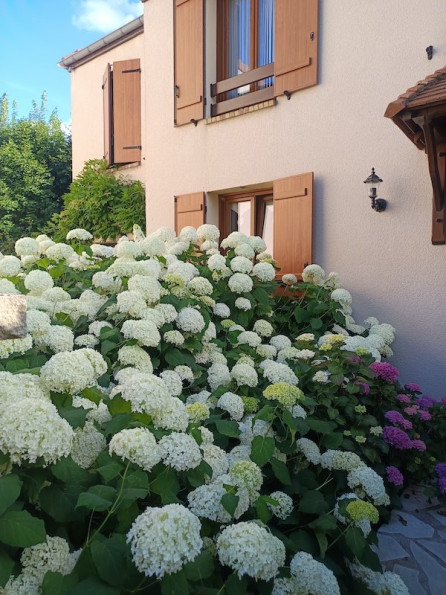 vente Maison Chateaufort - Photo 3