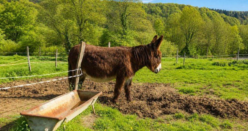 vente Maison Les Loges En Josas