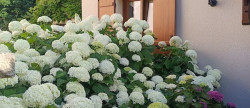 vente Maison Chateaufort